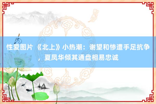 性爱图片 《北上》小热潮：谢望和惨遭手足抗争，夏凤华倾其通盘相易忠诚