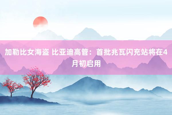 加勒比女海盗 比亚迪高管：首批兆瓦闪充站将在4月初启用