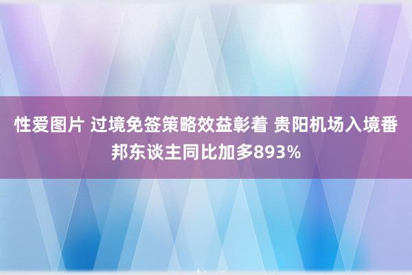 性爱图片 过境免签策略效益彰着 贵阳机场入境番邦东谈主同比加多893%