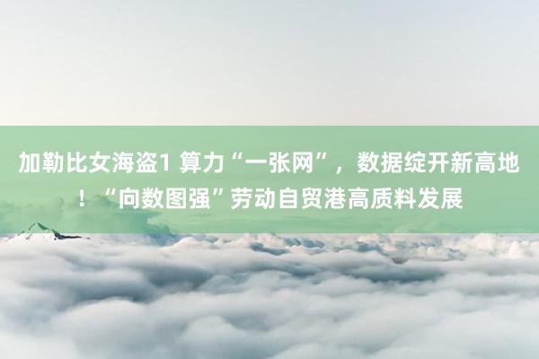加勒比女海盗1 算力“一张网”，数据绽开新高地！“向数图强”劳动自贸港高质料发展
