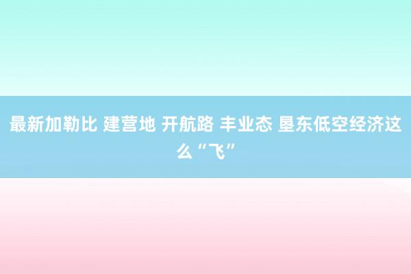 最新加勒比 建营地 开航路 丰业态 垦东低空经济这么“飞”