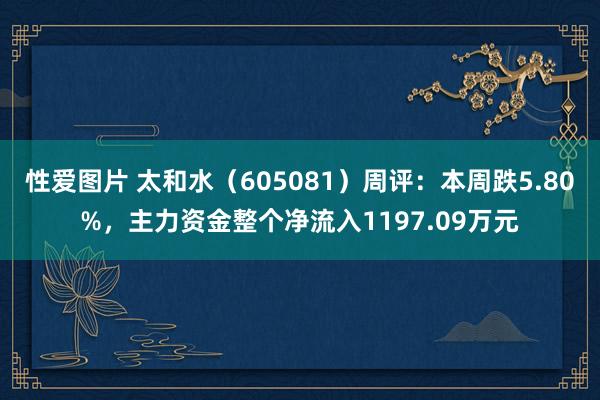 性爱图片 太和水（605081）周评：本周跌5.80%，主力资金整个净流入1197.09万元