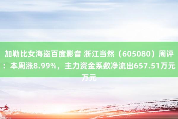 加勒比女海盗百度影音 浙江当然（605080）周评：本周涨8.99%，主力资金系数净流出657.51万元