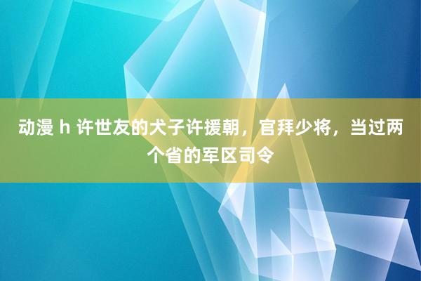 动漫 h 许世友的犬子许援朝，官拜少将，当过两个省的军区司令