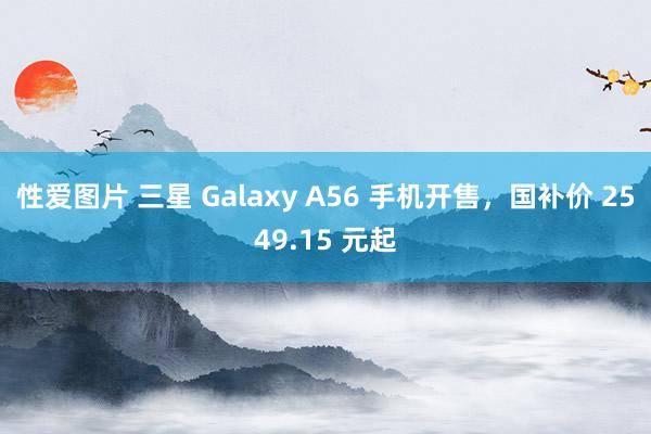 性爱图片 三星 Galaxy A56 手机开售，国补价 2549.15 元起