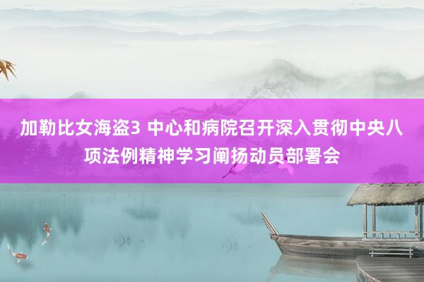加勒比女海盗3 中心和病院召开深入贯彻中央八项法例精神学习阐扬动员部署会