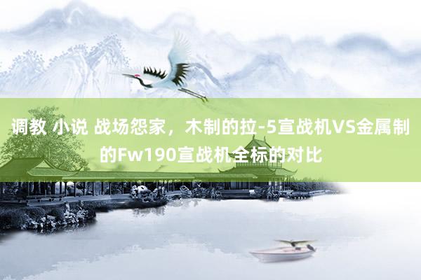 调教 小说 战场怨家，木制的拉-5宣战机VS金属制的Fw190宣战机全标的对比