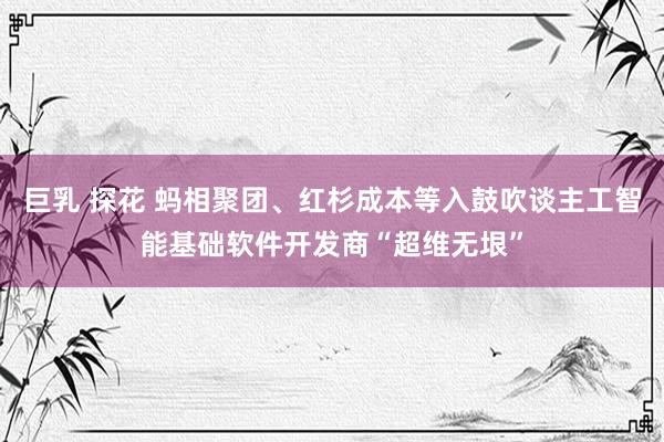 巨乳 探花 蚂相聚团、红杉成本等入鼓吹谈主工智能基础软件开发商“超维无垠”