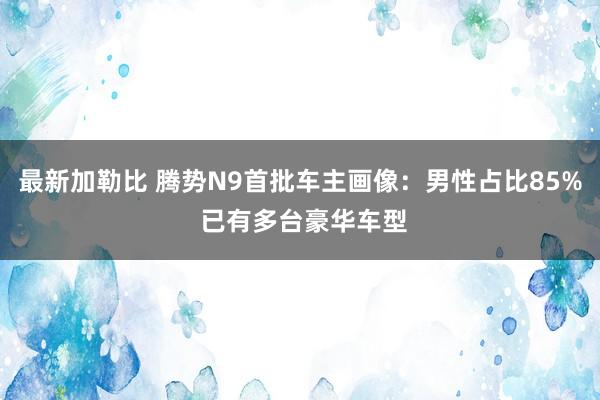 最新加勒比 腾势N9首批车主画像：男性占比85% 已有多台豪华车型