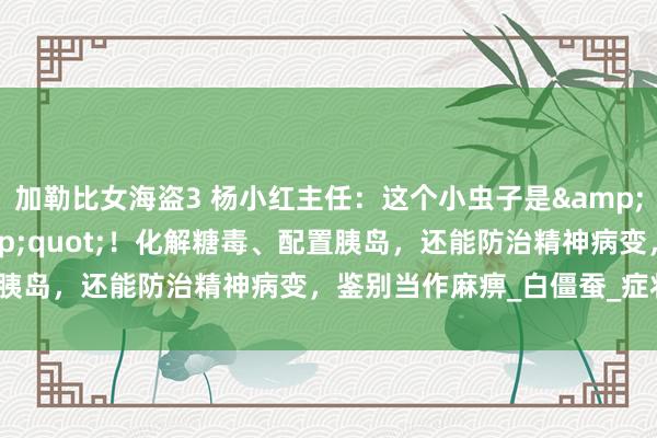 加勒比女海盗3 杨小红主任：这个小虫子是&quot;自然降糖药&quot;！化解糖毒、配置胰岛，还能防治精神病变，鉴别当作麻痹_白僵蚕_症状_末梢