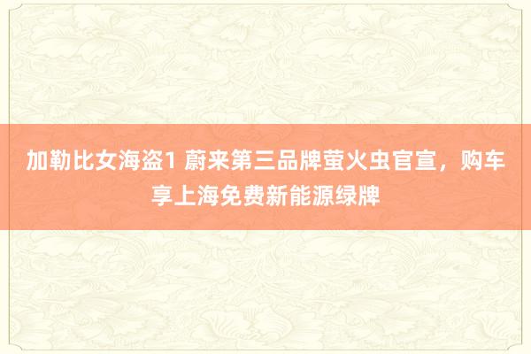 加勒比女海盗1 蔚来第三品牌萤火虫官宣，购车享上海免费新能源绿牌