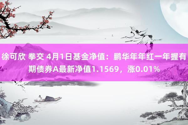 徐可欣 拳交 4月1日基金净值：鹏华年年红一年握有期债券A最新净值1.1569，涨0.01%