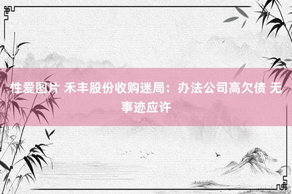性爱图片 禾丰股份收购迷局：办法公司高欠债 无事迹应许