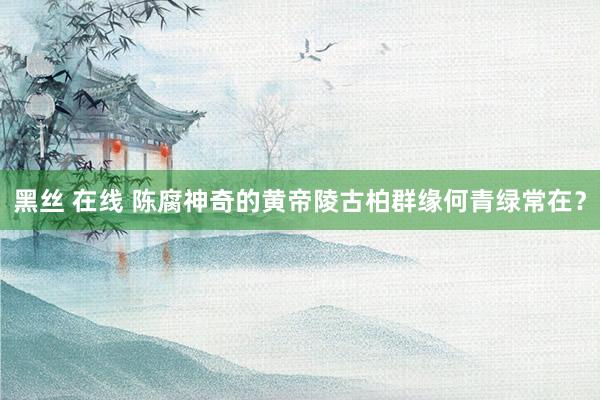 黑丝 在线 陈腐神奇的黄帝陵古柏群缘何青绿常在？