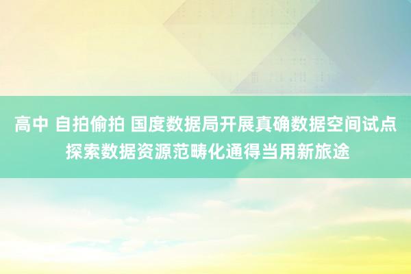 高中 自拍偷拍 国度数据局开展真确数据空间试点 探索数据资源范畴化通得当用新旅途