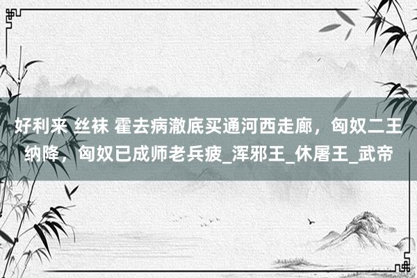 好利来 丝袜 霍去病澈底买通河西走廊，匈奴二王纳降，匈奴已成师老兵疲_浑邪王_休屠王_武帝