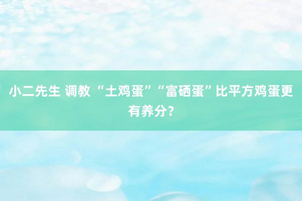 小二先生 调教 “土鸡蛋”“富硒蛋”比平方鸡蛋更有养分？