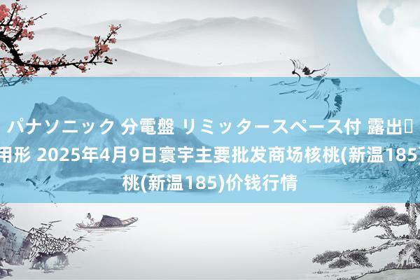 パナソニック 分電盤 リミッタースペース付 露出・半埋込両用形 2025年4月9日寰宇主要批发商场核桃(新温185)价钱行情