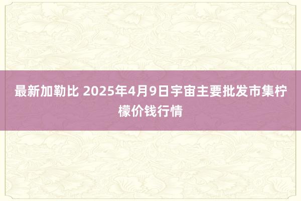 最新加勒比 2025年4月9日宇宙主要批发市集柠檬价钱行情