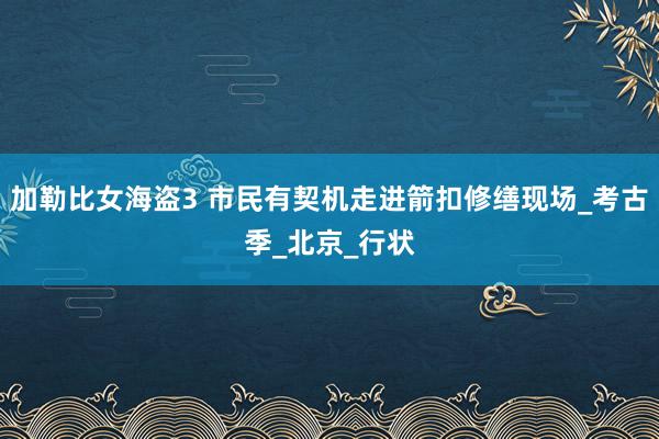 加勒比女海盗3 市民有契机走进箭扣修缮现场_考古季_北京_行状