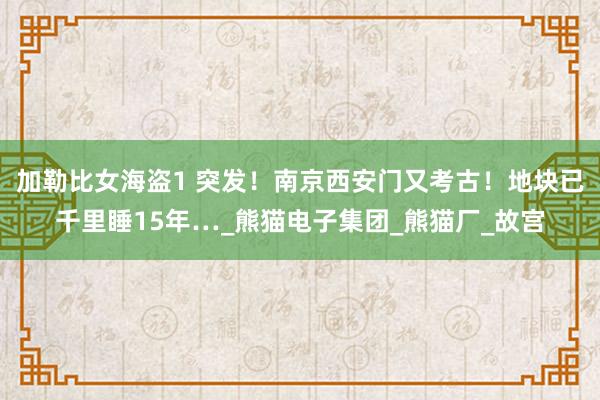 加勒比女海盗1 突发！南京西安门又考古！地块已千里睡15年…_熊猫电子集团_熊猫厂_故宫
