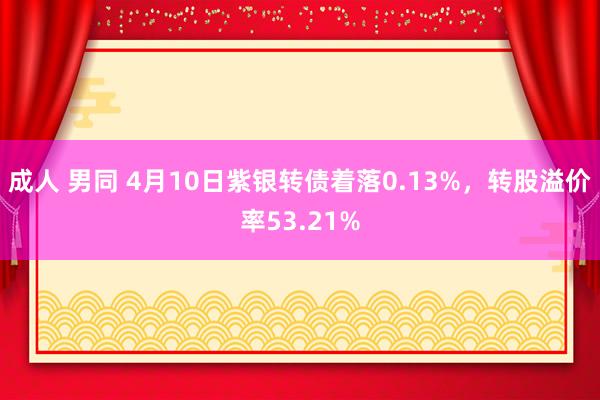 成人 男同 4月10日紫银转债着落0.13%，转股溢价率53.21%