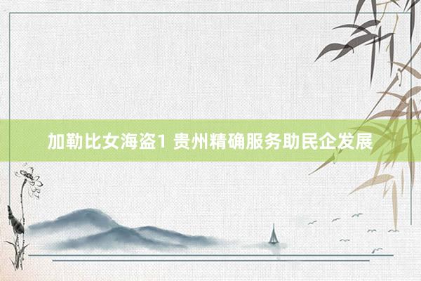 加勒比女海盗1 贵州精确服务助民企发展