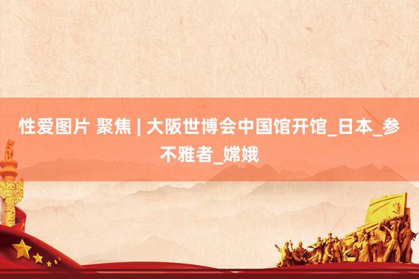 性爱图片 聚焦 | 大阪世博会中国馆开馆_日本_参不雅者_嫦娥