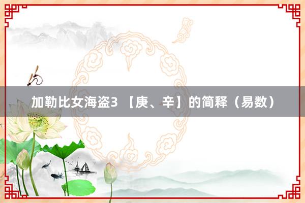 加勒比女海盗3 【庚、辛】的简释（易数）