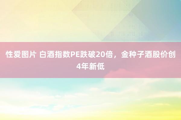 性爱图片 白酒指数PE跌破20倍，金种子酒股价创4年新低