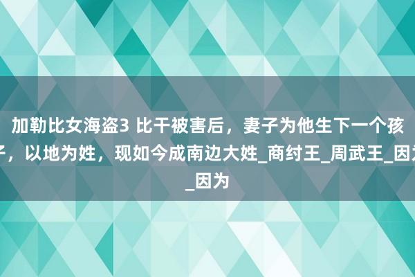加勒比女海盗3 比干被害后，妻子为他生下一个孩子，以地为姓，现如今成南边大姓_商纣王_周武王_因为