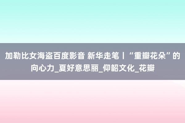 加勒比女海盗百度影音 新华走笔丨“重瓣花朵”的向心力_夏好意思丽_仰韶文化_花瓣