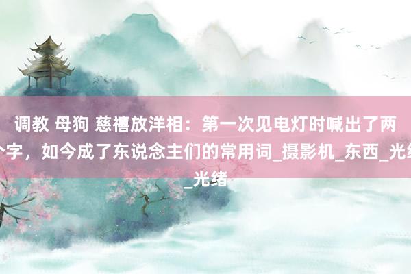 调教 母狗 慈禧放洋相：第一次见电灯时喊出了两个字，如今成了东说念主们的常用词_摄影机_东西_光绪