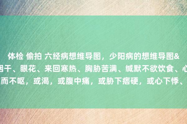 体检 偷拍 六经病想维导图，少阳病的想维导图&#160; 口苦、咽干、眼花、来回寒热、胸胁苦满、缄默不欲饮食、心烦喜呕，或胸中烦而不呕，或渴，或腹中痛，或胁下痞硬，或心下悸、小便不利，或不渴、身有微热，或咳等大别山养生