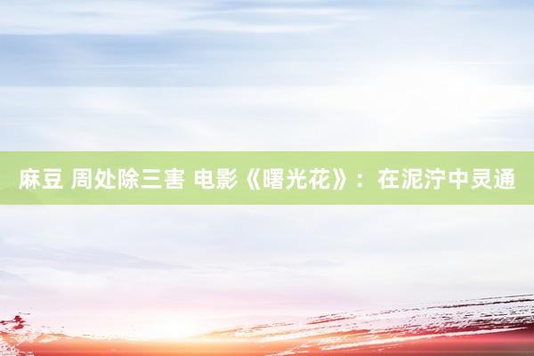 麻豆 周处除三害 电影《曙光花》：在泥泞中灵通