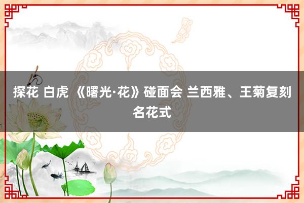探花 白虎 《曙光·花》碰面会 兰西雅、王菊复刻名花式