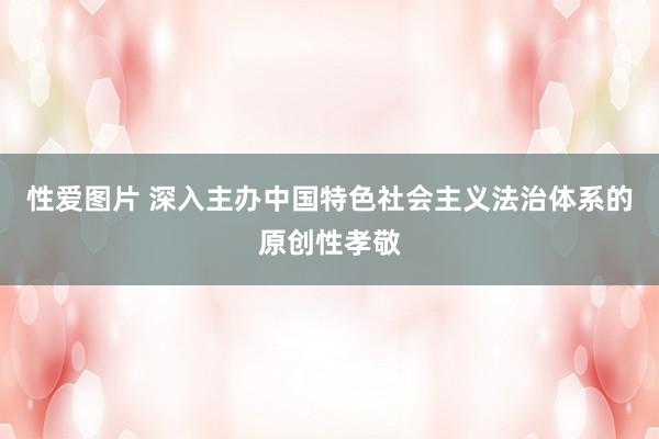 性爱图片 深入主办中国特色社会主义法治体系的原创性孝敬