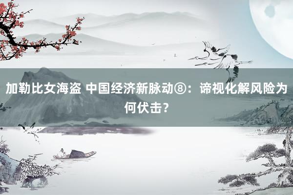 加勒比女海盗 中国经济新脉动⑧：谛视化解风险为何伏击？