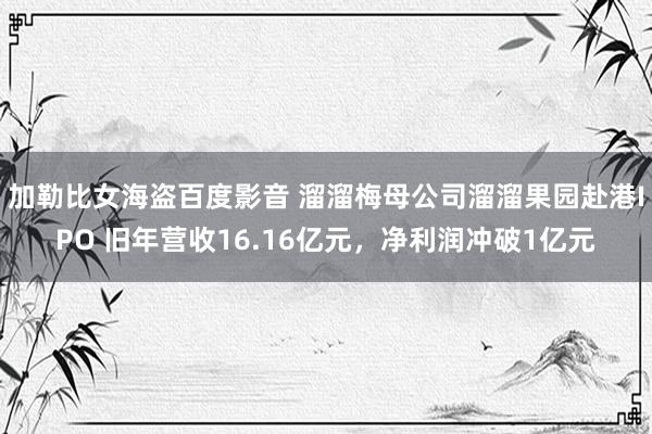 加勒比女海盗百度影音 溜溜梅母公司溜溜果园赴港IPO 旧年营收16.16亿元，净利润冲破1亿元