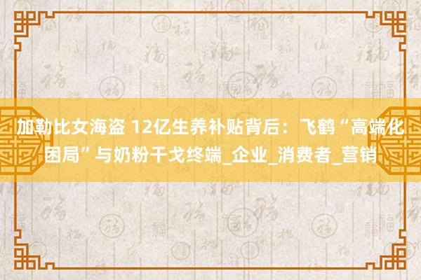 加勒比女海盗 12亿生养补贴背后：飞鹤“高端化困局”与奶粉干戈终端_企业_消费者_营销