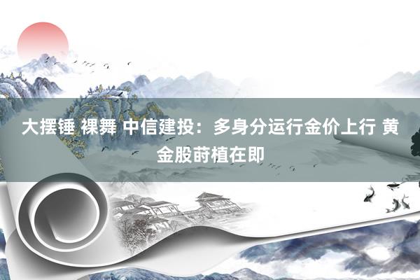 大摆锤 裸舞 中信建投：多身分运行金价上行 黄金股莳植在即