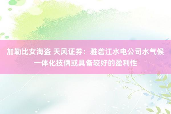 加勒比女海盗 天风证券：雅砻江水电公司水气候一体化技俩或具备较好的盈利性