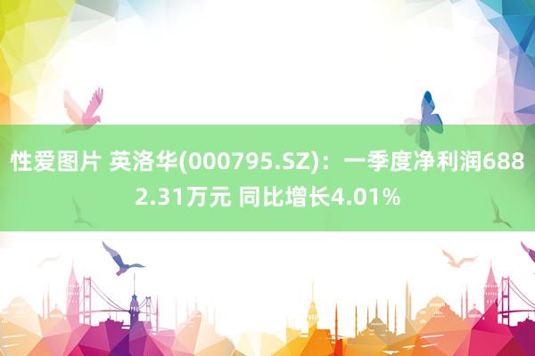 性爱图片 英洛华(000795.SZ)：一季度净利润6882.31万元 同比增长4.01%