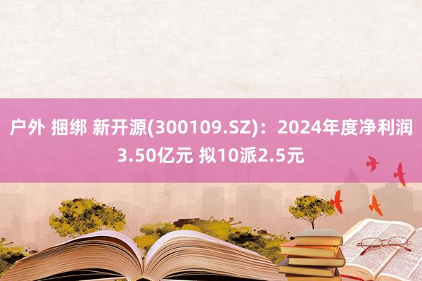 户外 捆绑 新开源(300109.SZ)：2024年度净利润3.50亿元 拟10派2.5元