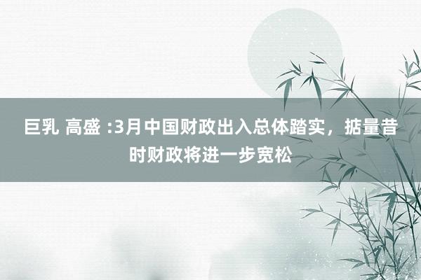 巨乳 高盛 :3月中国财政出入总体踏实，掂量昔时财政将进一步宽松