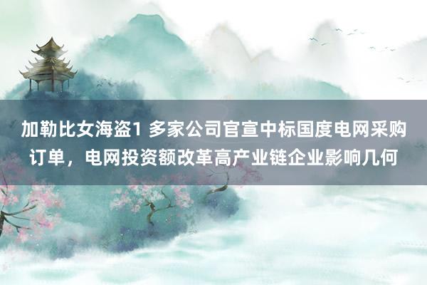 加勒比女海盗1 多家公司官宣中标国度电网采购订单，电网投资额改革高产业链企业影响几何