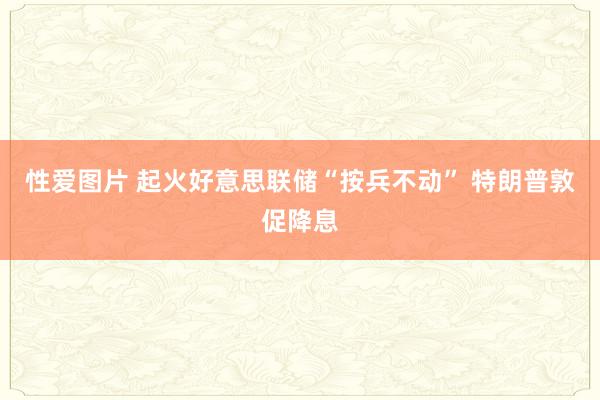 性爱图片 起火好意思联储“按兵不动” 特朗普敦促降息