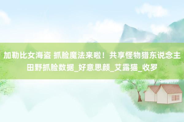 加勒比女海盗 抓脸魔法来啦！共享怪物猎东说念主田野抓脸数据_好意思颜_艾露猫_收罗