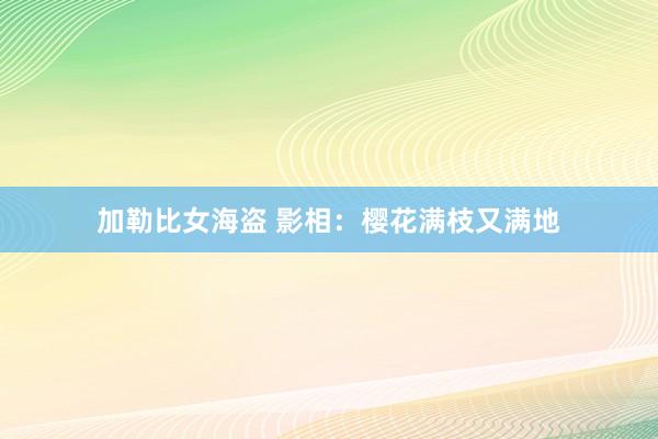 加勒比女海盗 影相：樱花满枝又满地