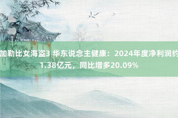 加勒比女海盗3 华东说念主健康：2024年度净利润约1.38亿元，同比增多20.09%